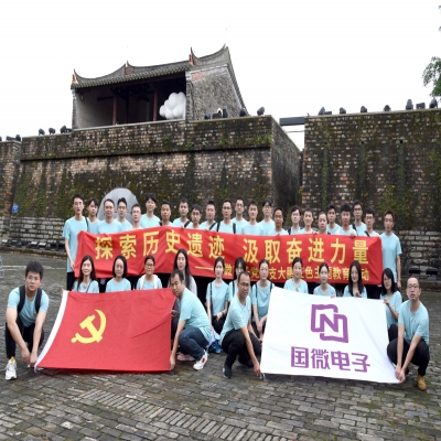 探索歷史遺跡，汲取奮進力量——國微電子黨總支大鵬紅色主題教育活動